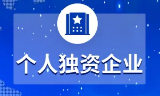 個人獨(dú)資企業(yè)的利與弊應(yīng)如何選擇？