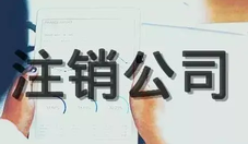 法人可以申請(qǐng)注銷(xiāo)公司嗎？